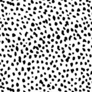 Meet your Posher, Reagan